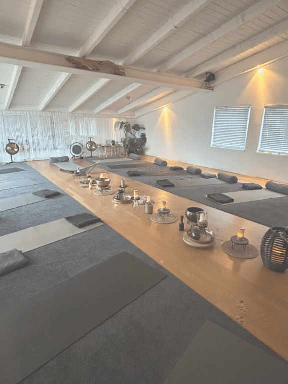 denise roerdink human design blauwdruk persoonlijke handleiding Kundalini nrgy spinal nrgy achterhoek gelderland doetinchem lichtenvoorde energetische sessie kundalini nrgy spinal nrgy